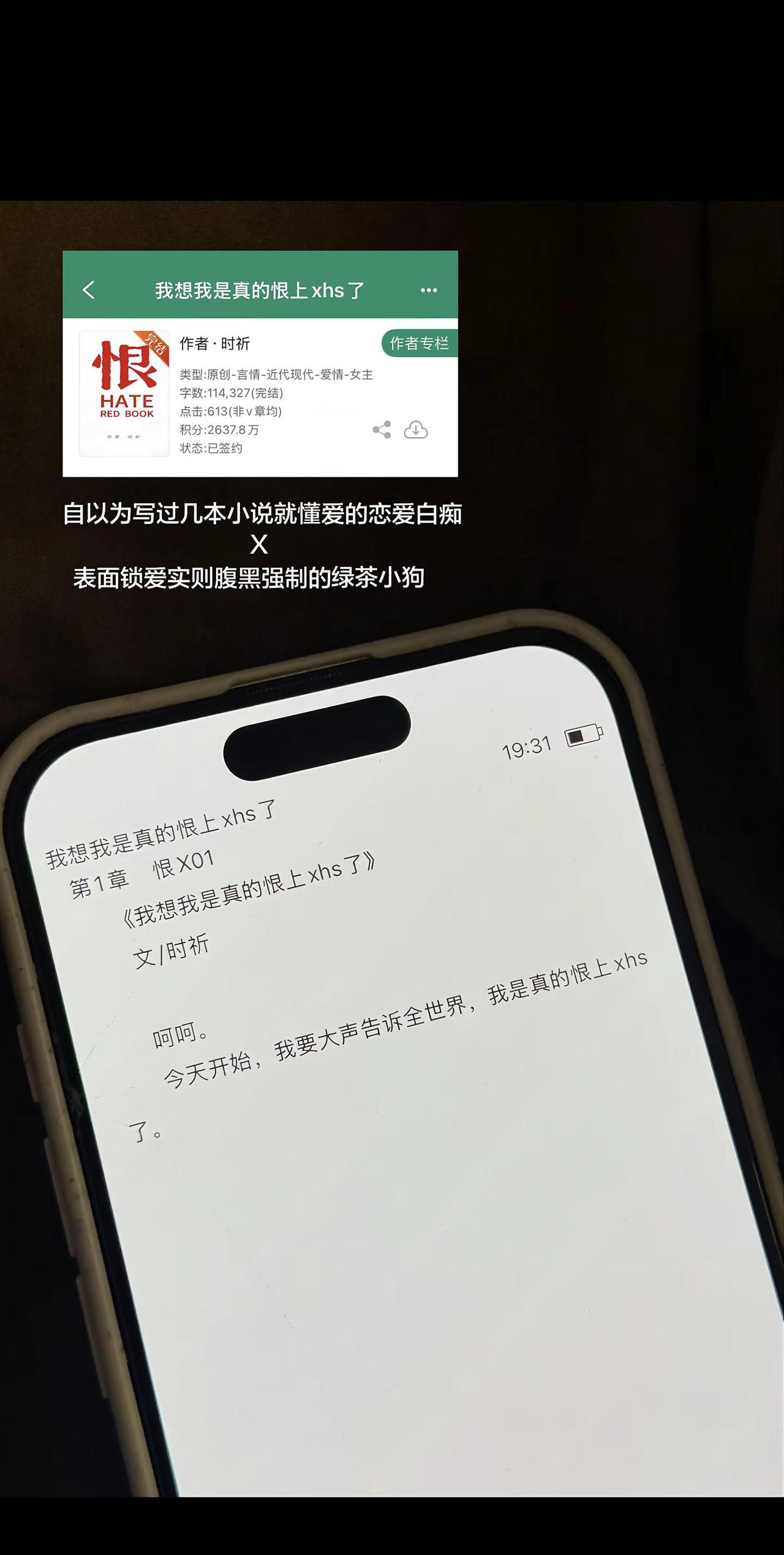 故事的开始是我恨你。故事的结尾是我爱你@时祈17 推文 破镜重圆