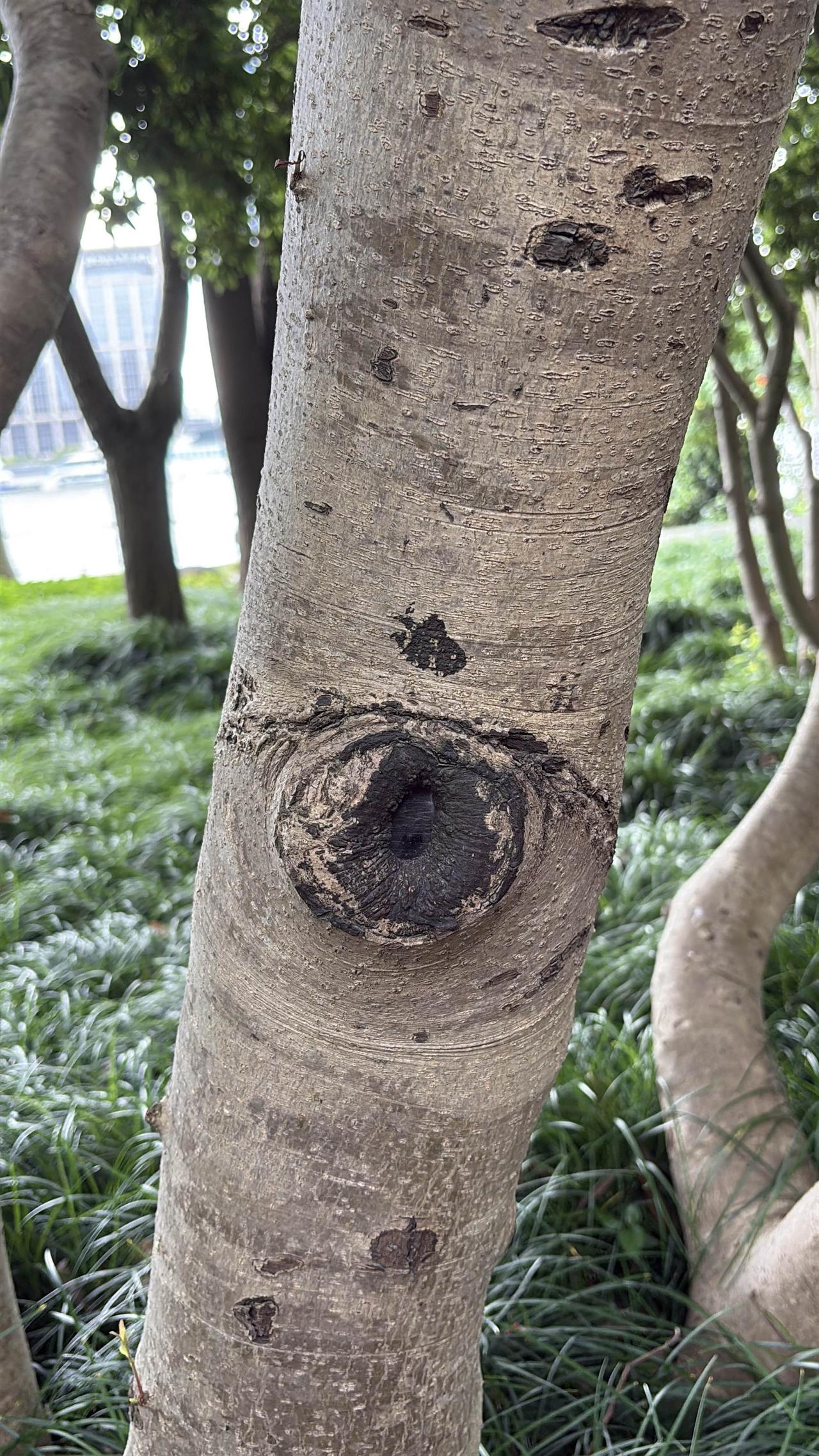 发现自己专注力提高了，更爱阅读了，好开心！

很长一段时间，我感觉自己失去了阅读