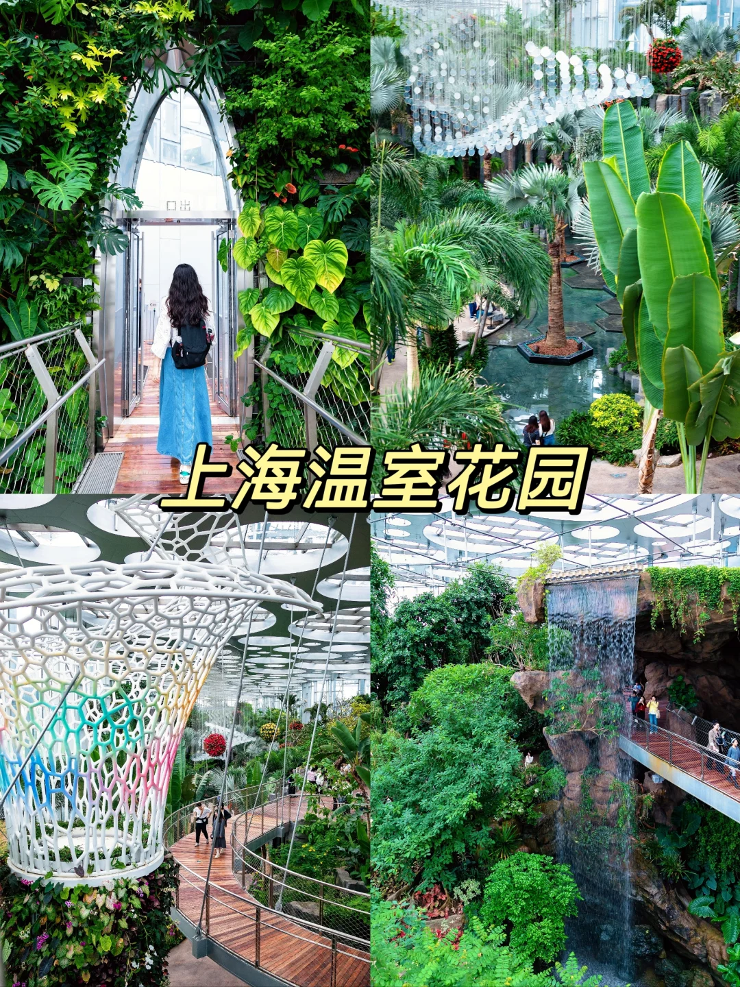 亚洲最大温室花园|上海版疯狂植物城美出圈