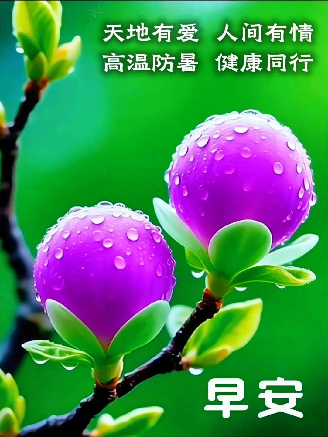 🛣️人生道路多曲折，有平有坡有风波。健康乃是无价宝，生活美好又芬芳。愿你永葆好