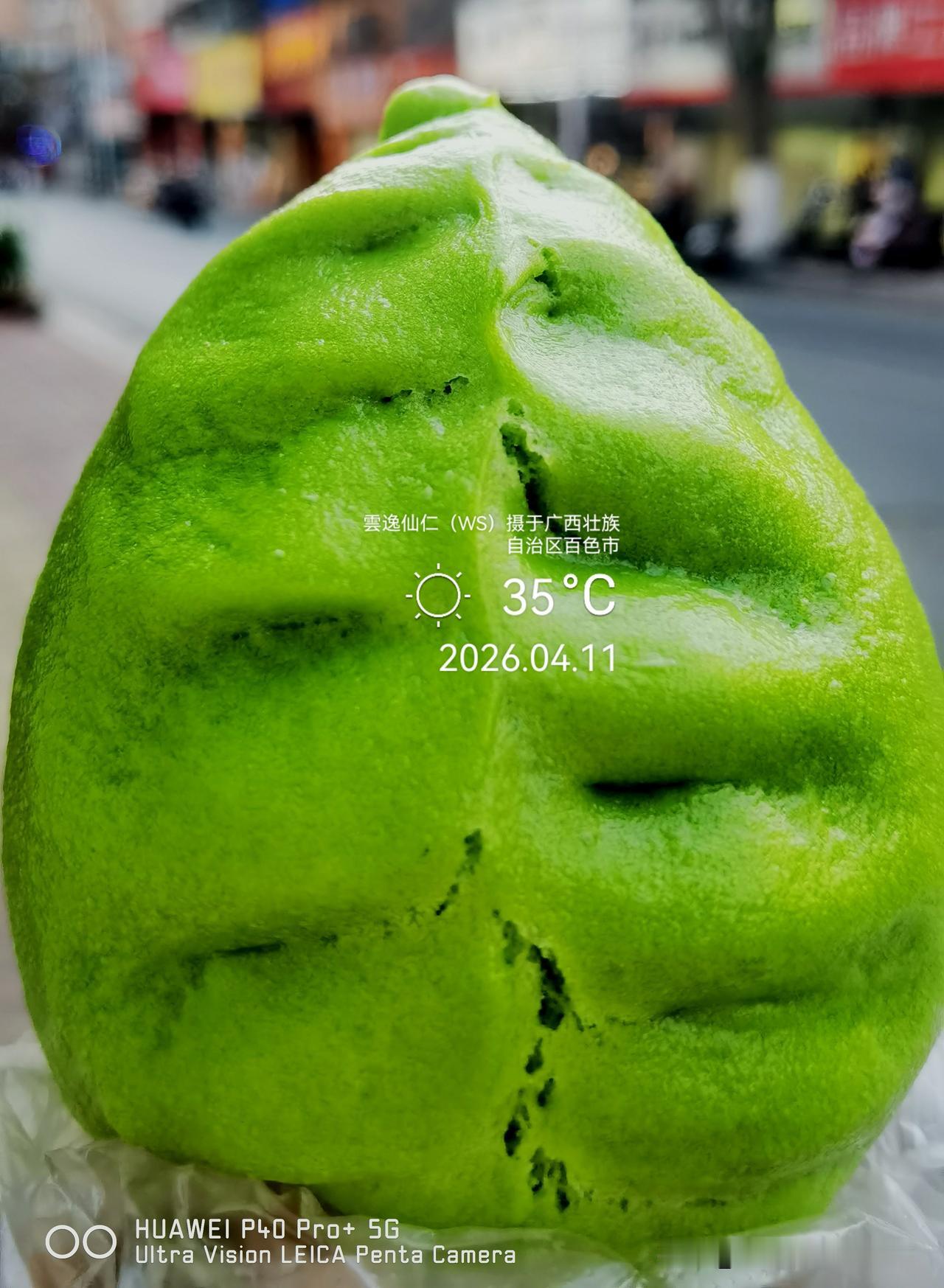 旅居生活记录（9471）广西壮族自治区百色市（156）品尝小吃44：斑斓笋干肉包