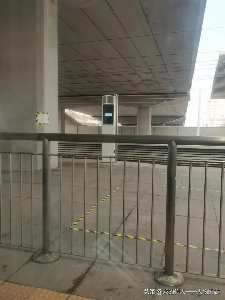 天南地北大拜年