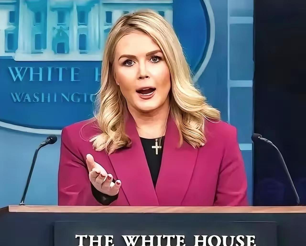 中日闹那么多天，躲在日本背后的第二条大鱼被我们钓了出来。
​11月20日白宫正式