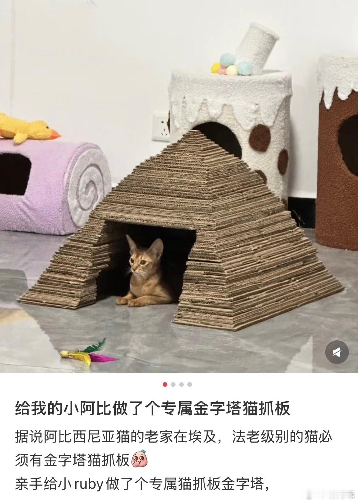 我笑得不行了 