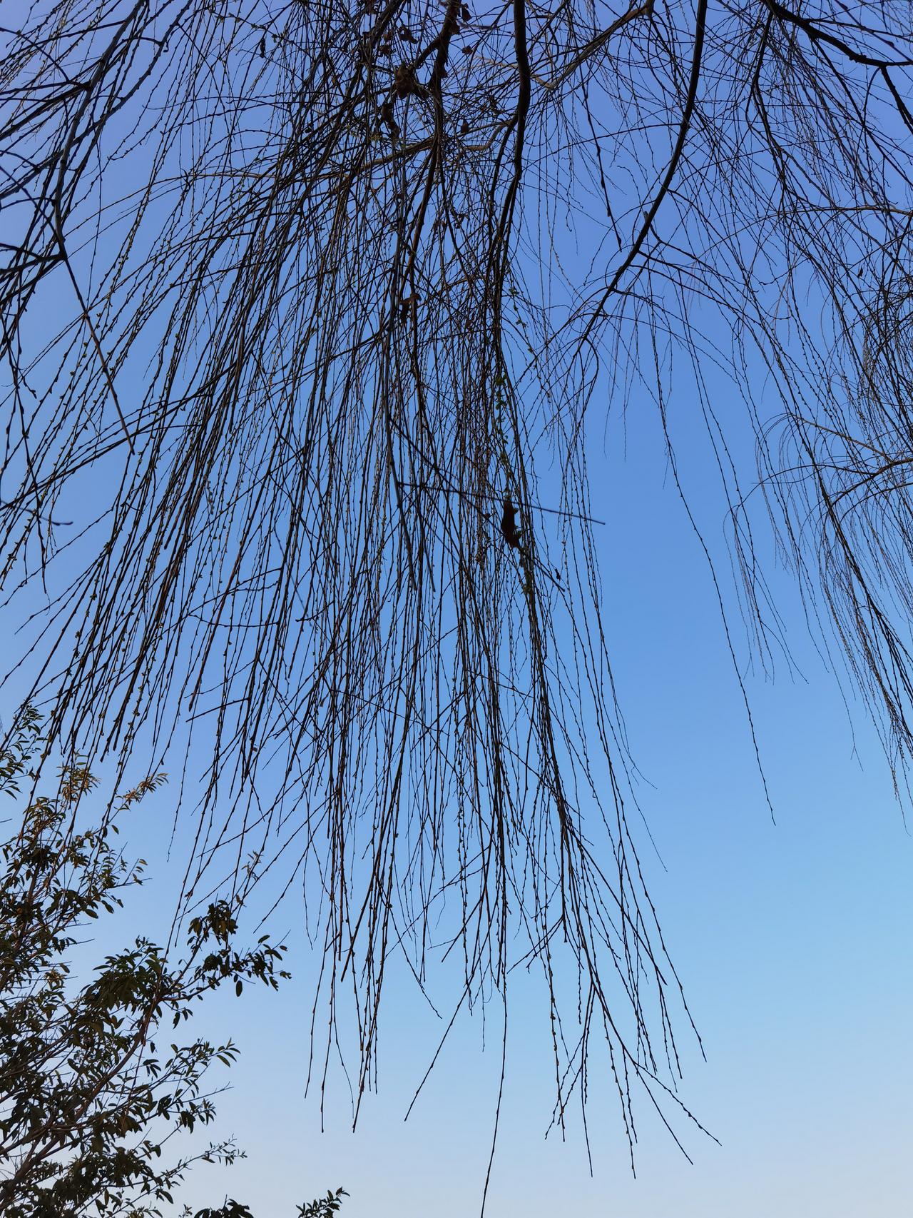 大家身边有没有这样的老人，销售员见面多打几次招呼，并多几句句嘘寒问暖，她就觉得遇