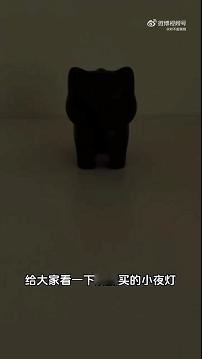 谁家好人把猫蛋设计成开关