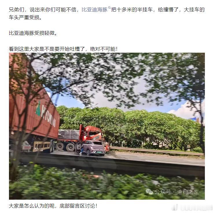 不是我杠，海豚想要把大货车撞成这样，估计得跳起来吧？？？看事故现场，分明还有另外
