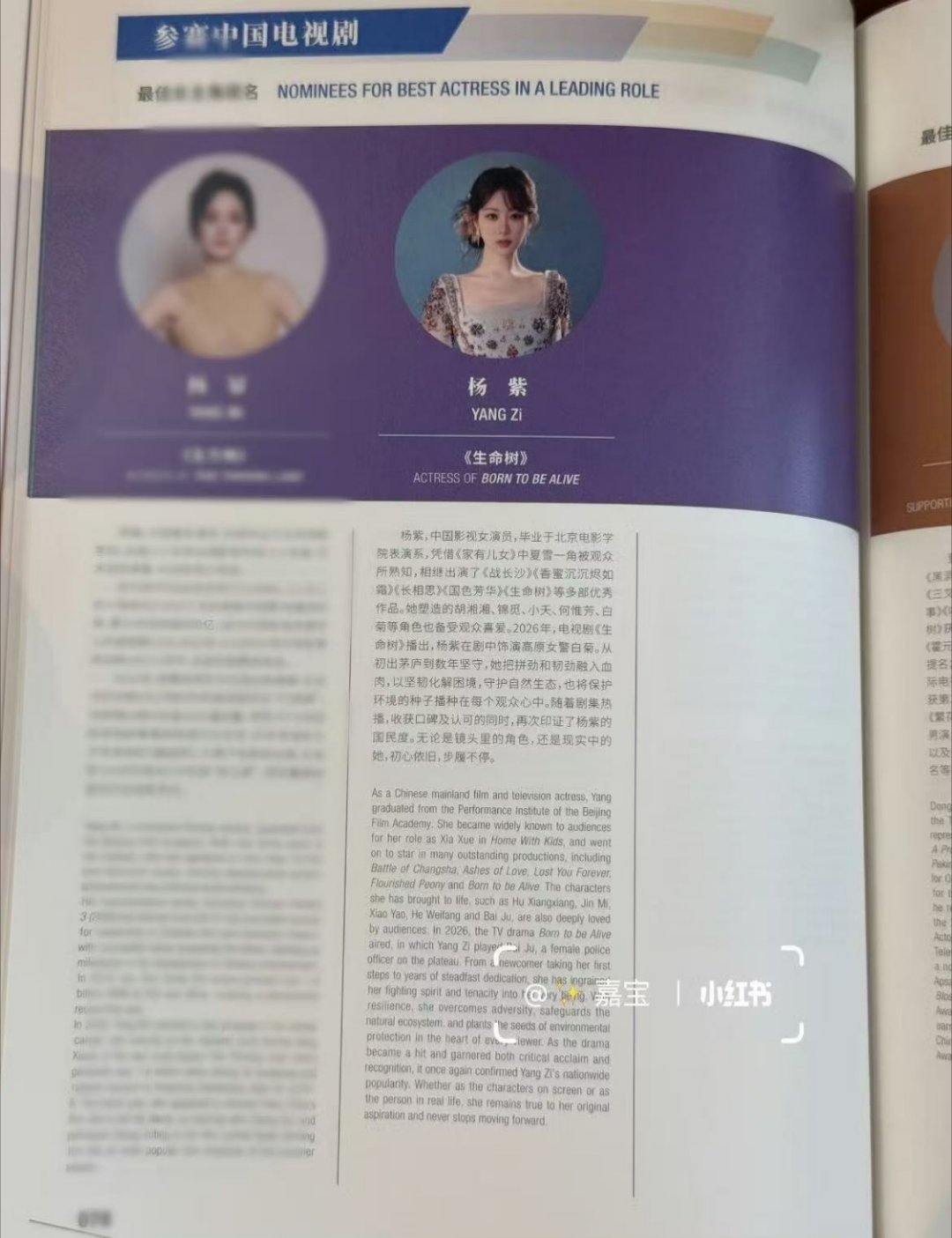 新的一年场刊，作品越写越多了