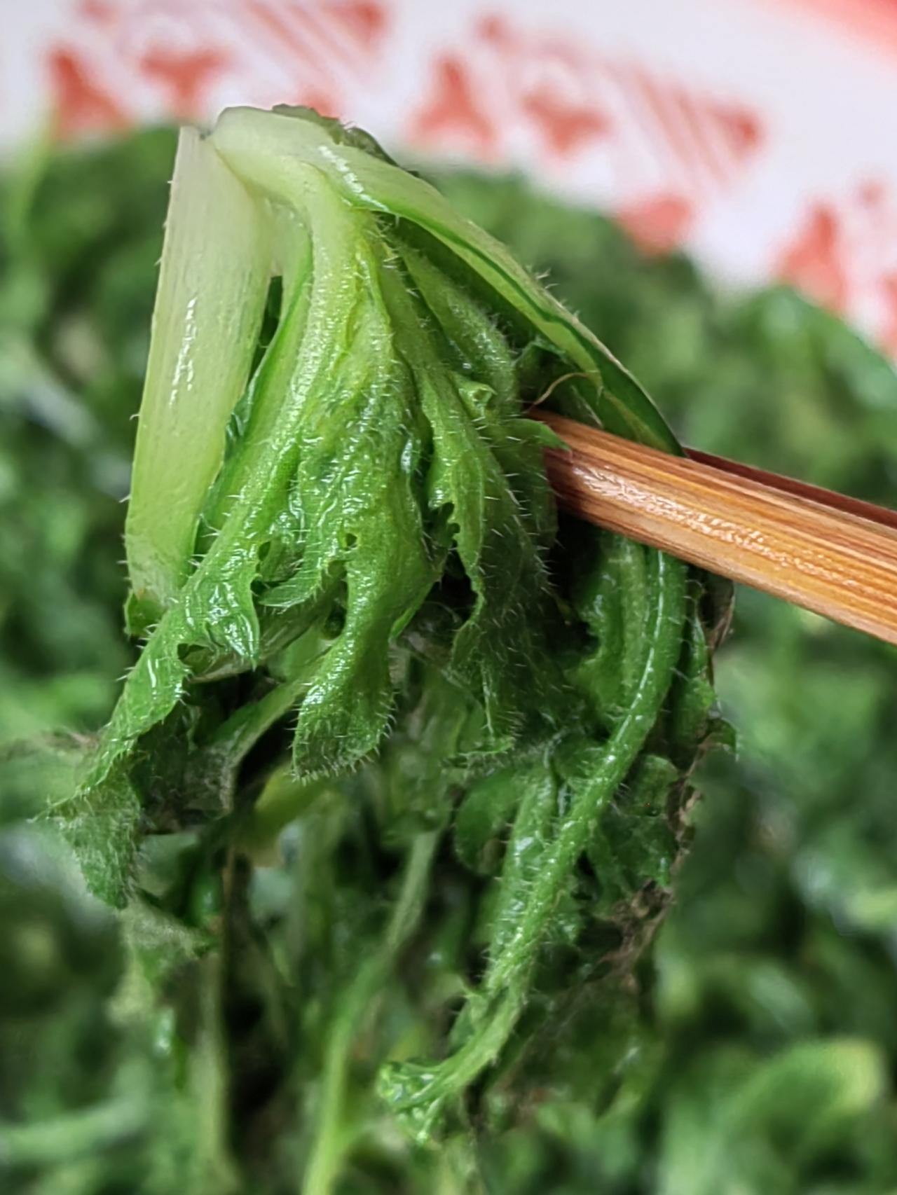 没想到，焯水后的荠菜，颜色湛青碧绿，这样鲜嫩啊！
以前我吃荠菜，从不焯水。听说焯