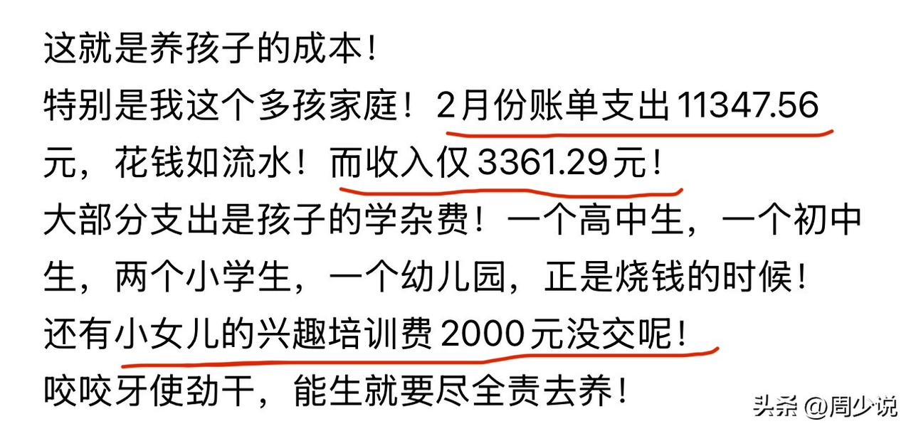 “这就是养孩子的真实成本！”近日，一位多孩妈妈晒出2月家庭账单，瞬间戳中无数家长