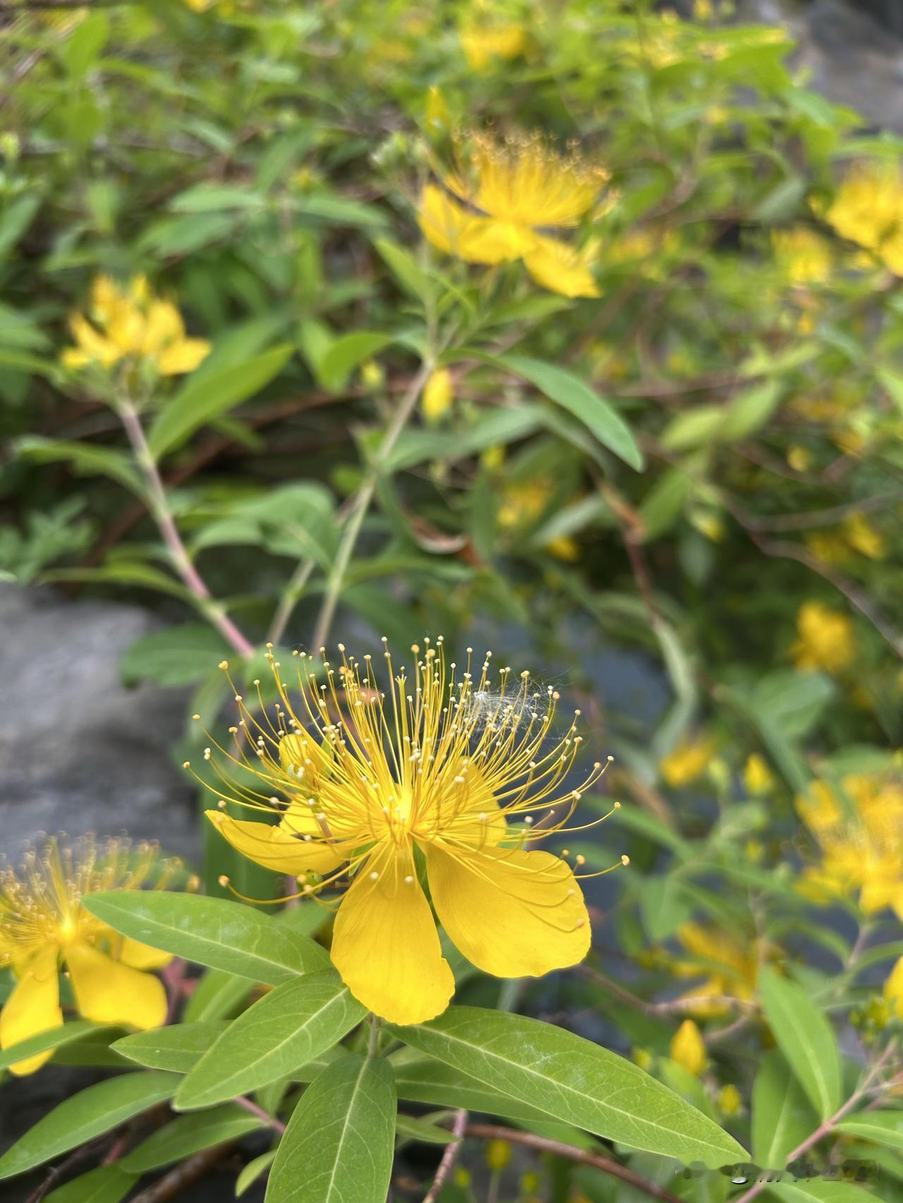 电热水器用不用天天关？

家里人老为这事吵？其实特好懂。

要是每天都洗澡，就别