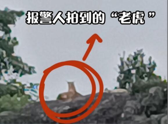 2022年6月，浙江一村民报警说山上有老虎！莫非是野生华南虎？民警连忙带着无人机