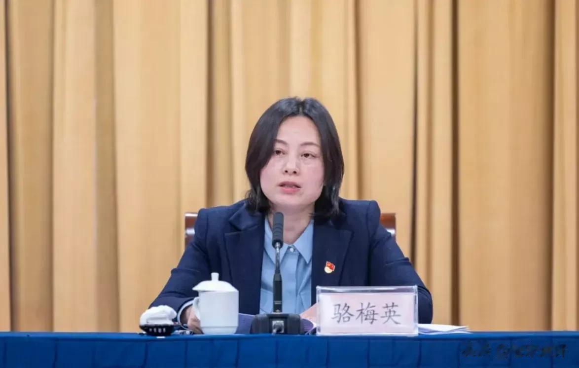 舟山市“80后”市委常委、宣传部长骆梅英履新浙江援疆指挥部指挥长！

4月16日