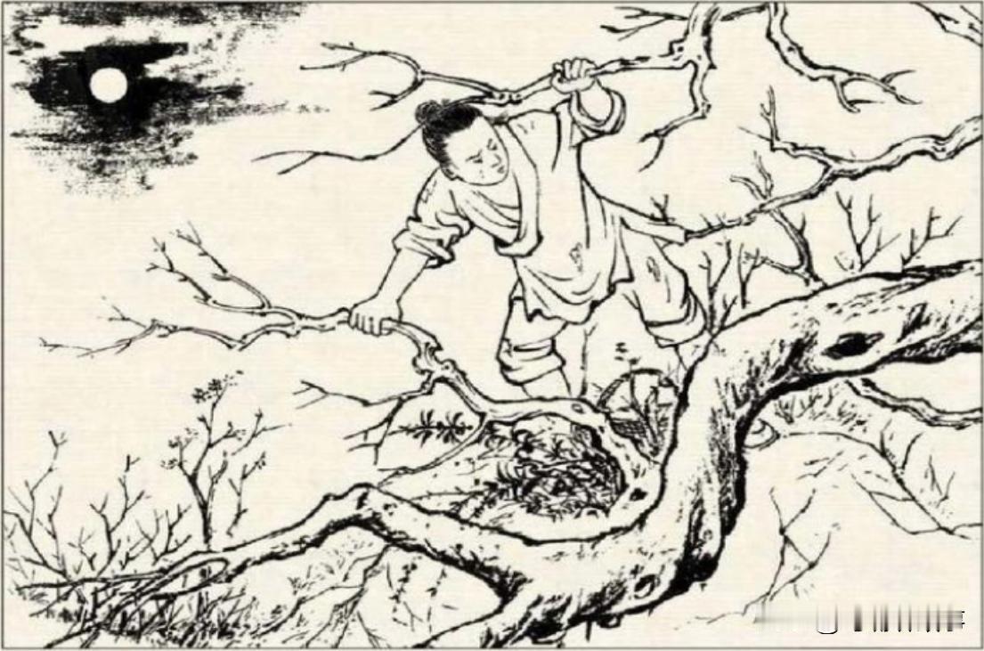 啄木鸟居然是巫师，能够画符。
　　清朝中期，有一个调皮的孩子，喜欢上树掏鸟窝，下