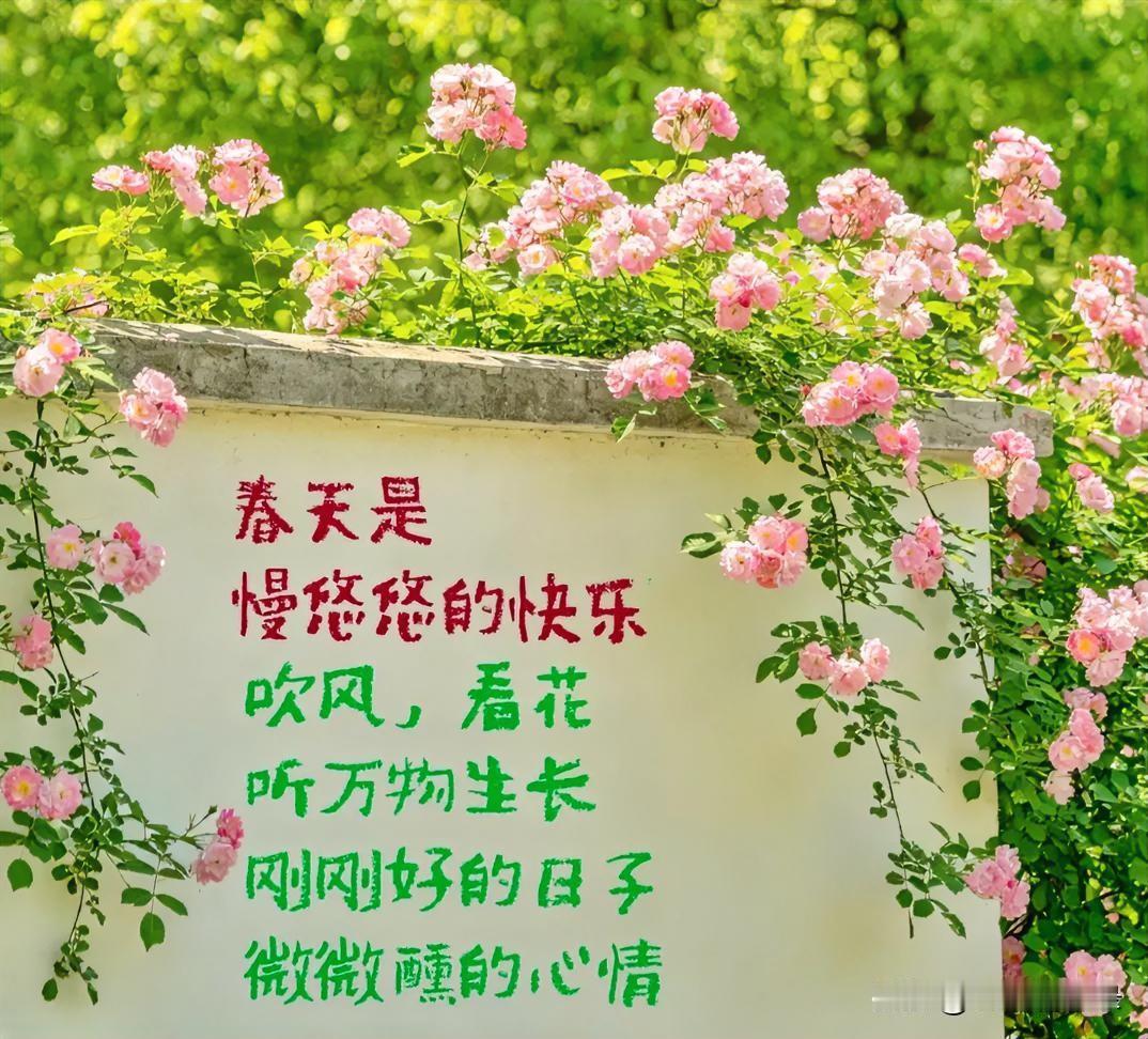 一定要爱着点什么，
恰似草木对光阴的钟情。
不慌不忙，静静生长，
不问结果，只守