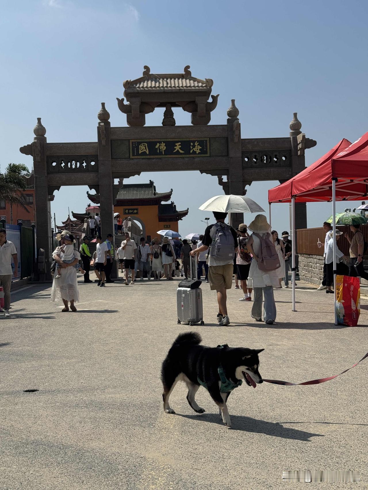 泉州，海上丝绸之路的起点！惠安看崇武古城和惠安女，浔埔村看沾花，看三面环海的洛迦