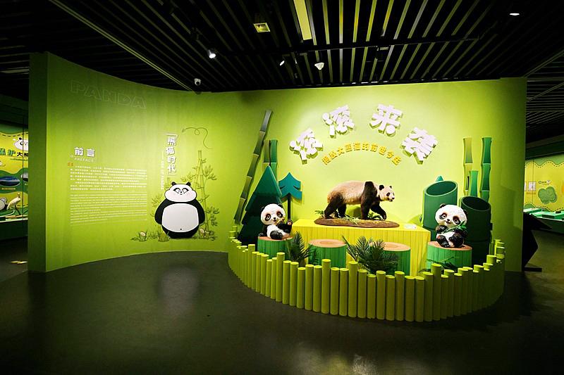 我支持让熊猫憨憨展出。看看憨憨，八年都在“格子间”过着孤寂生活，没大树可爬，没玩