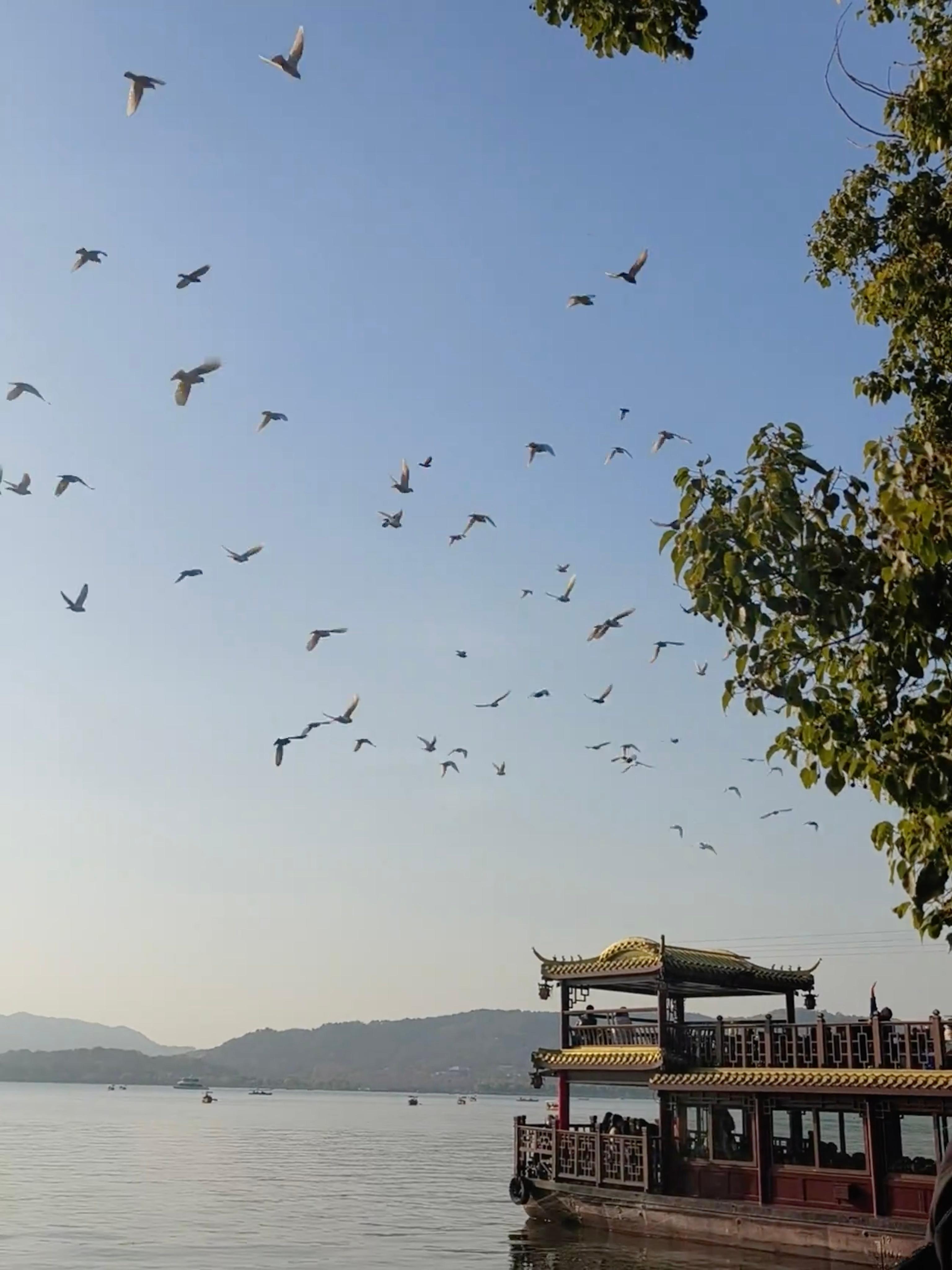 什么样的状态算是能量消耗交流就是双方提供的和需要的能量并不一致的情况下举个例子，