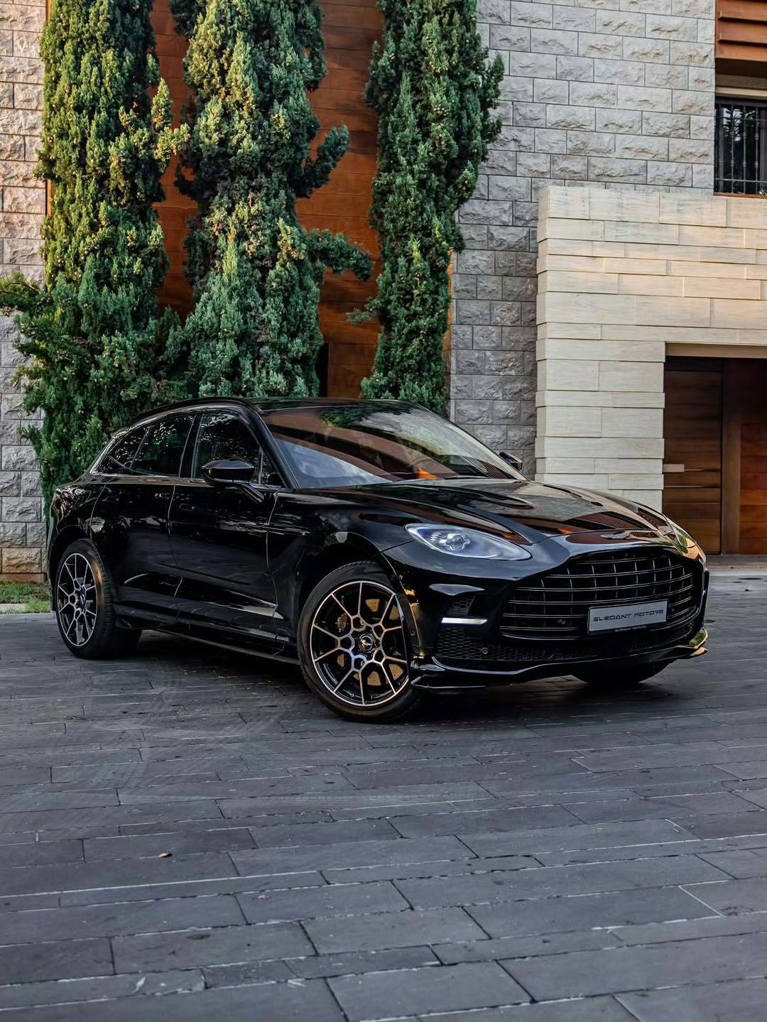 阿斯顿·马丁 DBX 707 