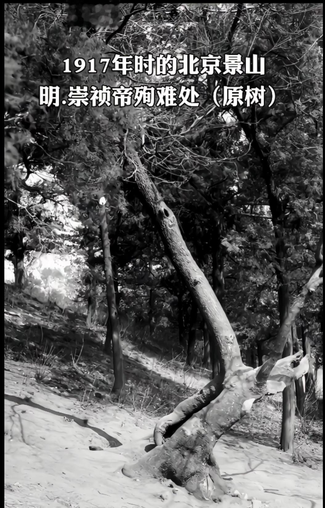 华夏历史文房