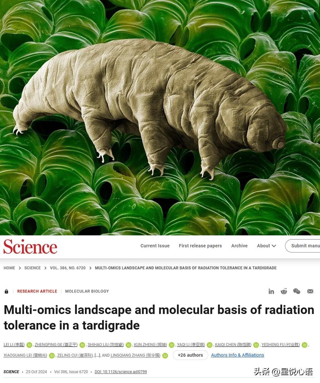 Science重磅！水熊虫不死之谜终于被中国团队破解了

谁能想到，身长不到1毫