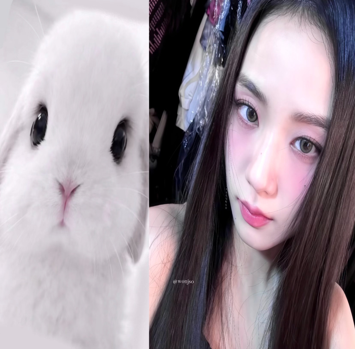 只是一个可爱的小兔秀呀ᕱ ⑅ ᕱ 