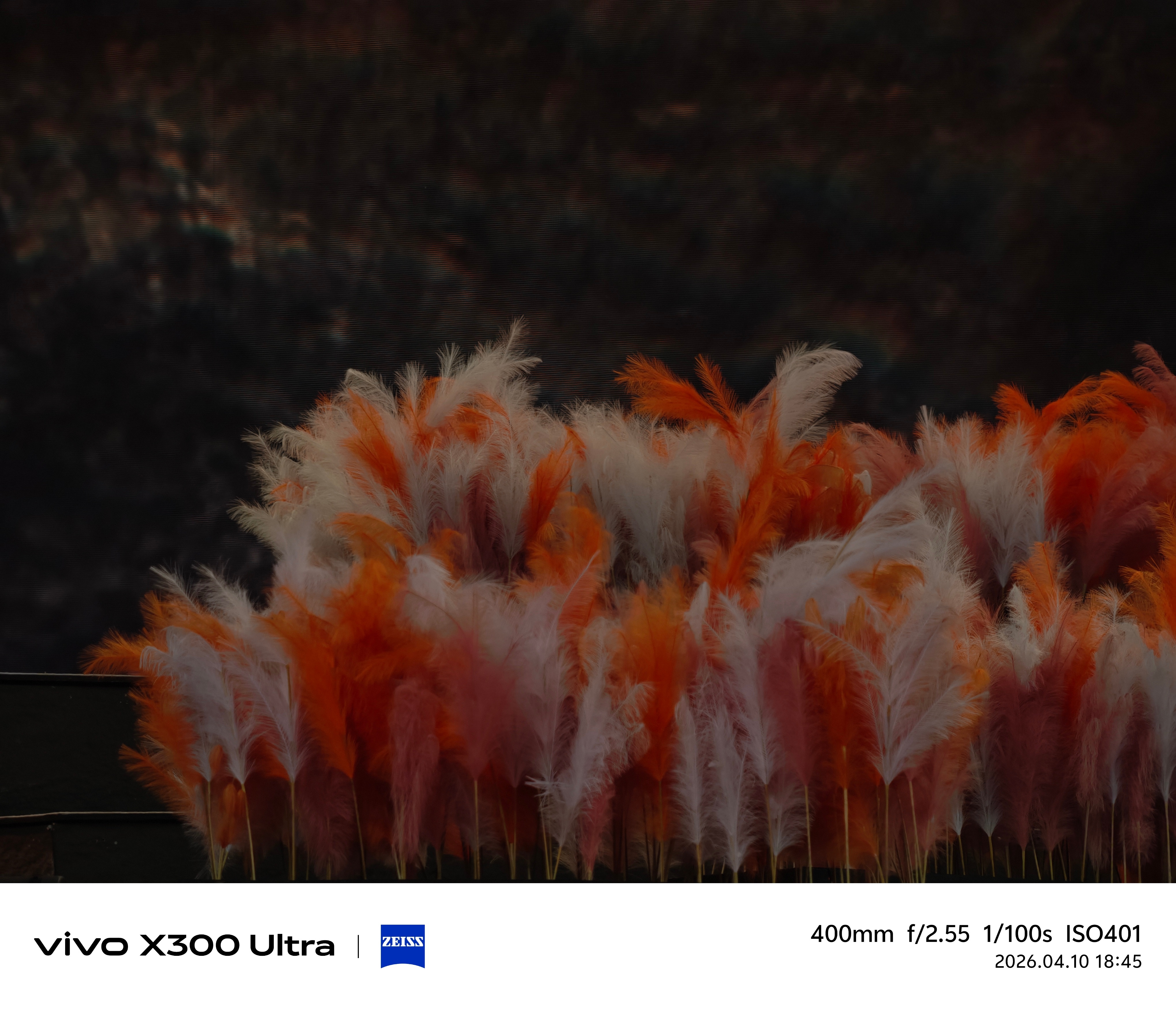 Damn，这次的票有点靠前呐vivo X300 Ultra的这个大炮筒，果然演唱