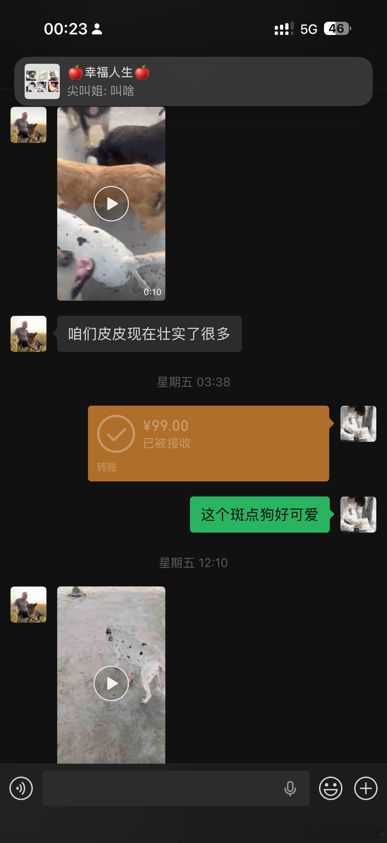 本人给狗都不给网络乞丐 ​​​