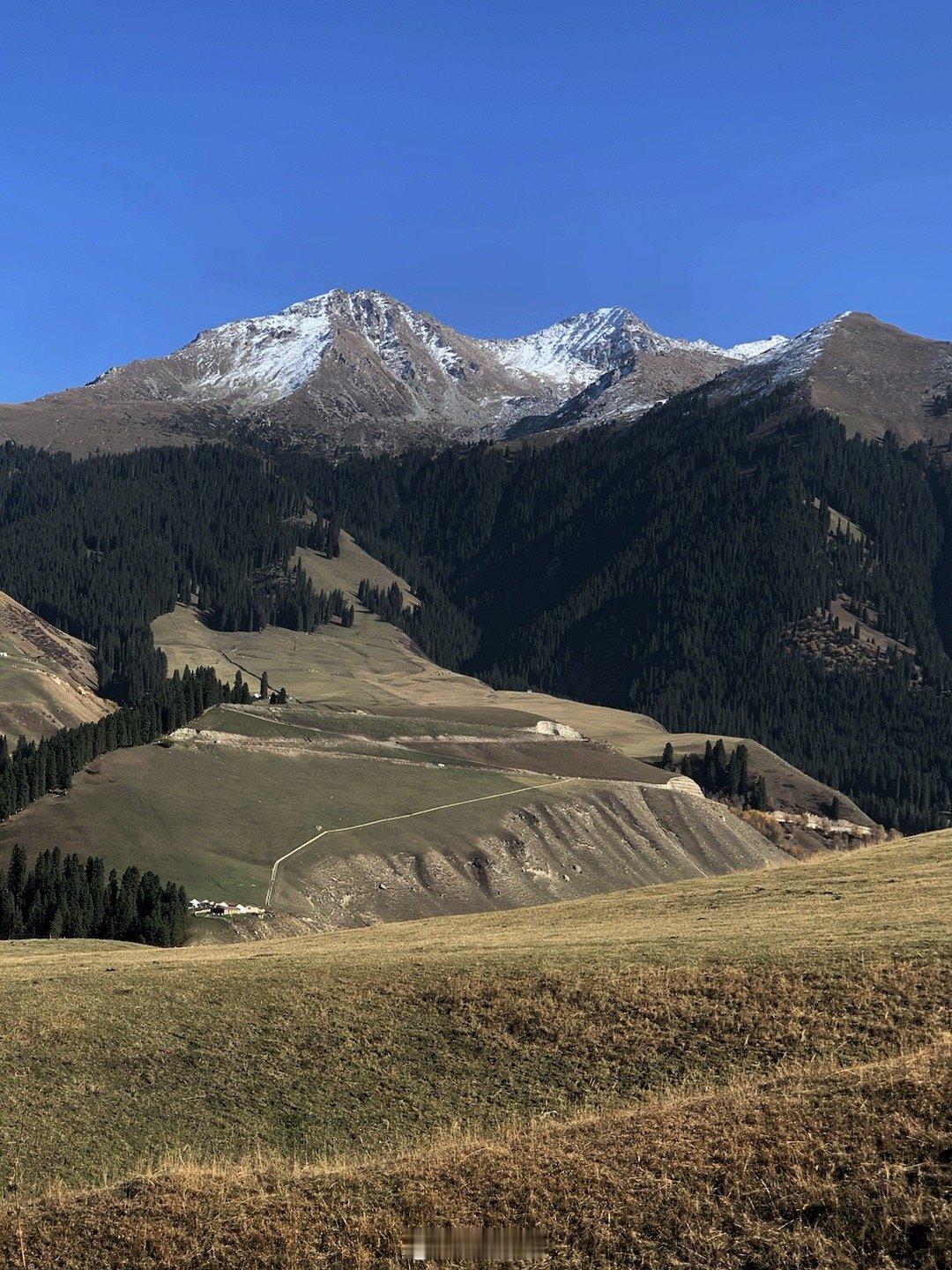 🏔️living  ​​​