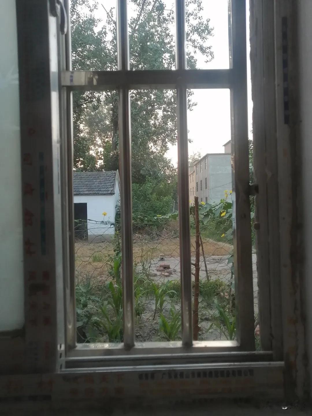 在这一方小小的窗前，框住了乡村生活的宁静与美好。灰色金属窗棂外，白色小屋错落于绿