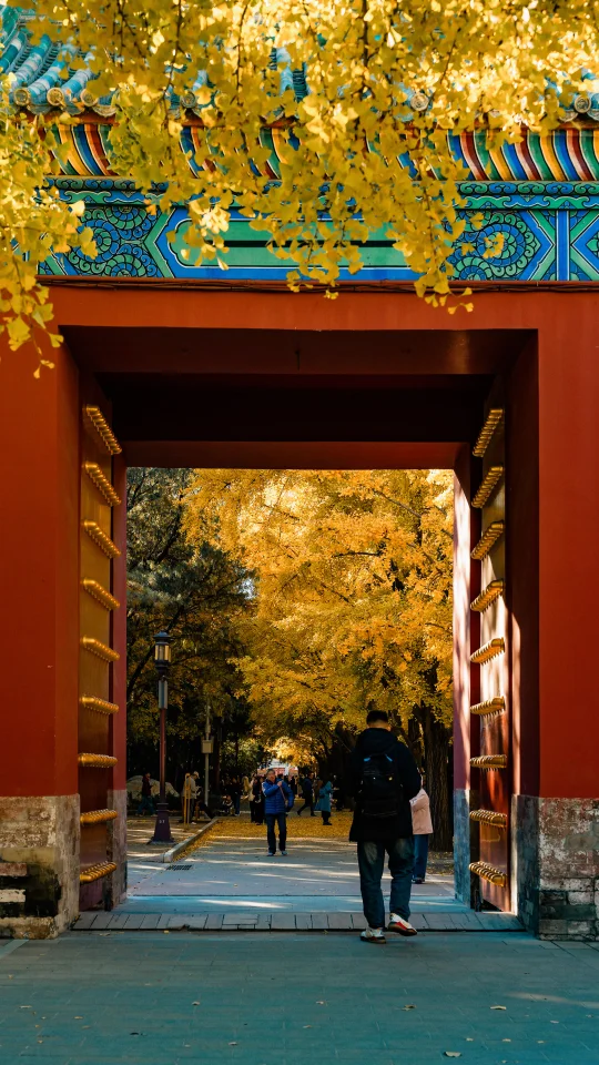 为了这场盛大的秋天，我特意来了趟北京