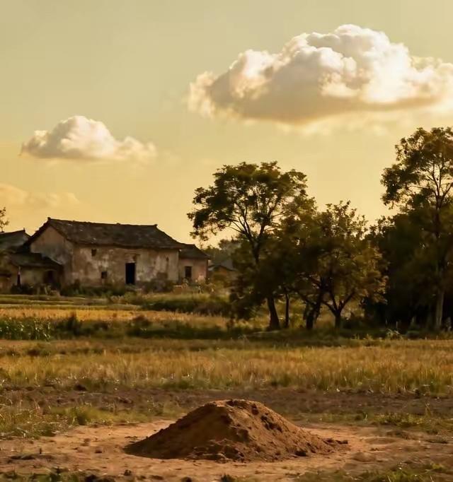 乡村的宁静与美好，老房子和田园的和谐共存。