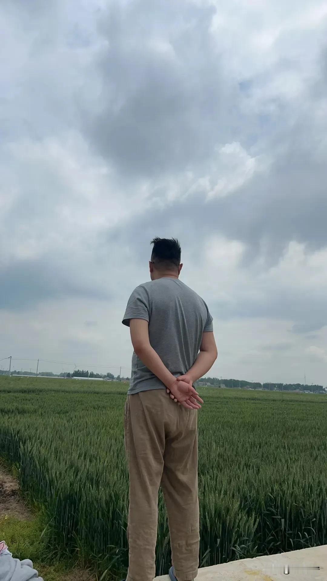 小孙回农村了。虽然卡里只有两万块钱，但是我却获得了前所未有的安全感。每天除了鸟叫