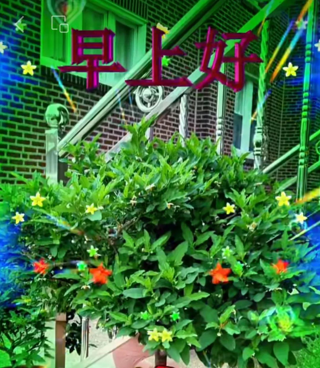 高溫了天氣越來越熱，
注意了記得要多喝水，
一定要做好防暑降溫，
保證身體健康人