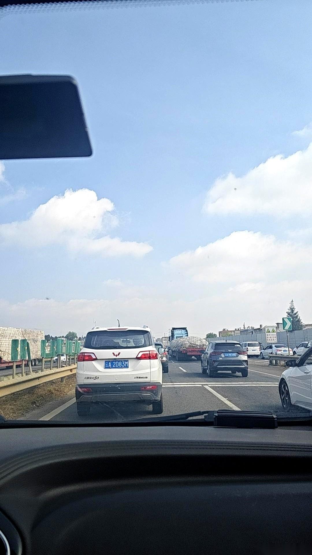 车窗刚摇下一半，一股浓烈的、混着猪粪的馊臭味猛地灌了进来。我方向盘抓得死死的，人