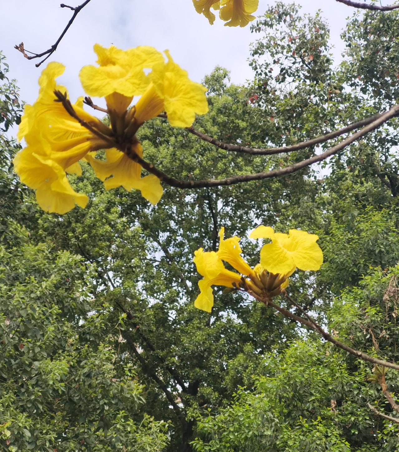 清明感怀

清明时节，莺飞草长，细雨微殇，春风微凉。怀念故人，思念绵长，永不相忘