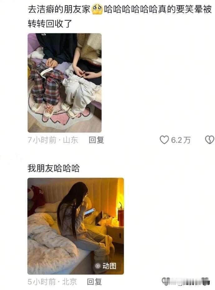 笑晕了，去洁癖朋友家[狗头]