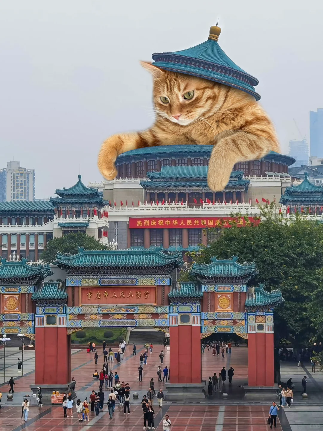 你好，重庆😌