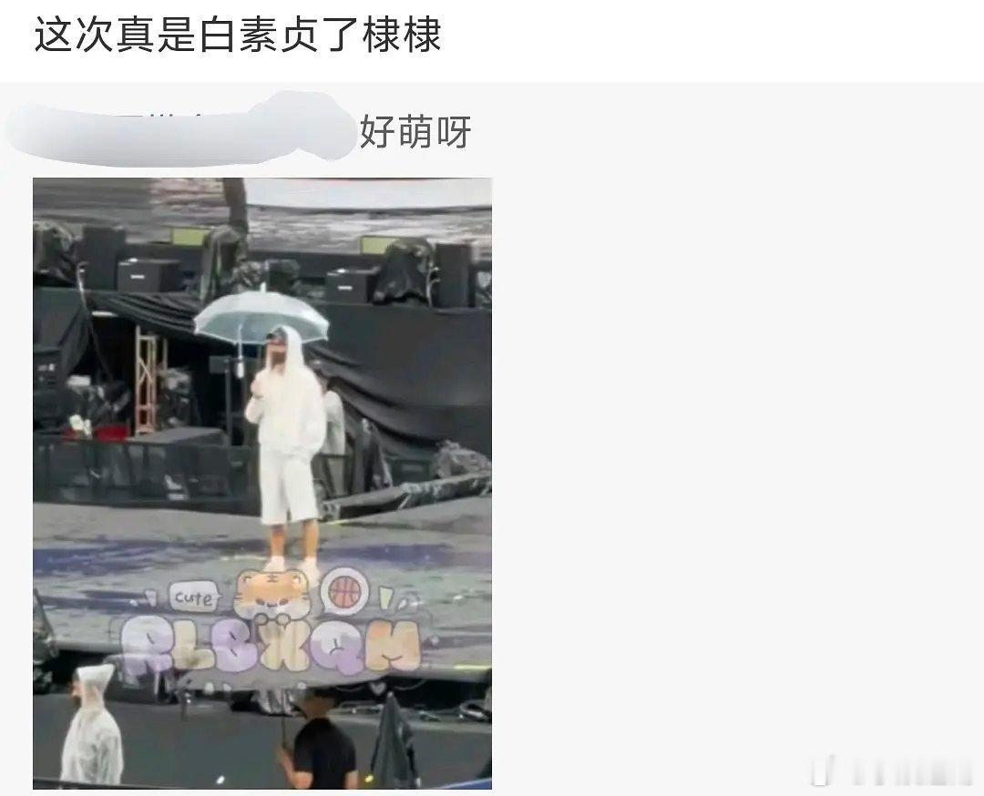 王鹤棣粉丝真夸的出口 这个样子叫白素贞 