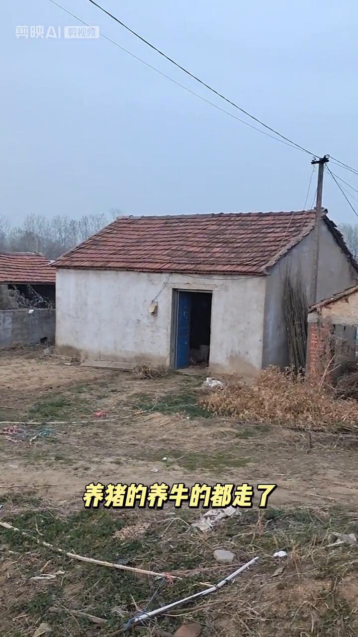 看看这农村现在人去房空，养猪的、养牛的都走了，现在只剩下种地的了，种地也难。看这
