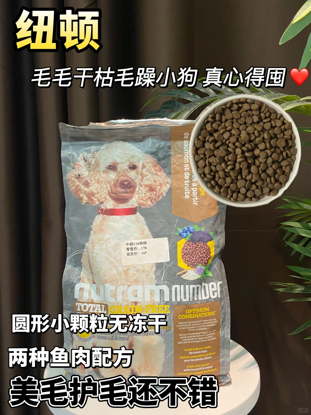 别乱选❗百里挑一的宝藏狗粮推荐