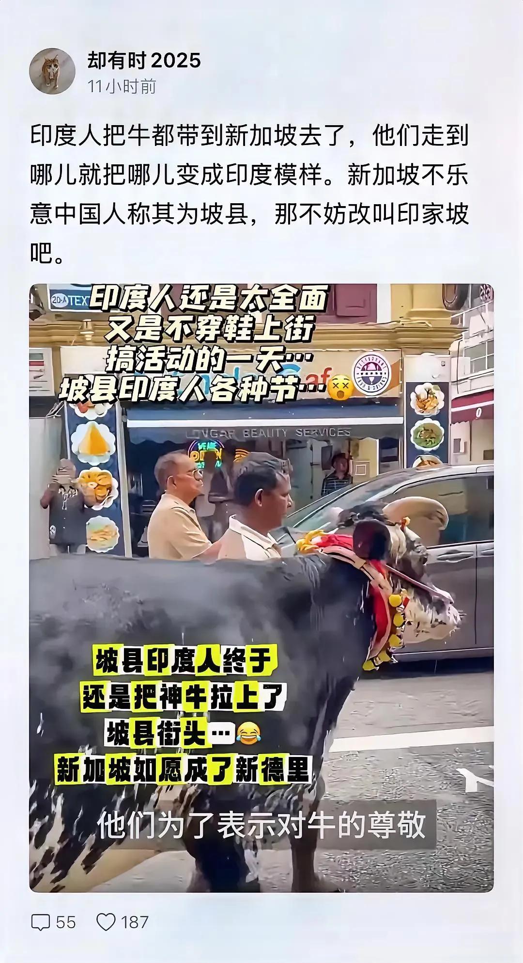 还是印度人厉害，他们四处立足，终于建成了印度新加坡分度、印度加拿大分度、印度英国