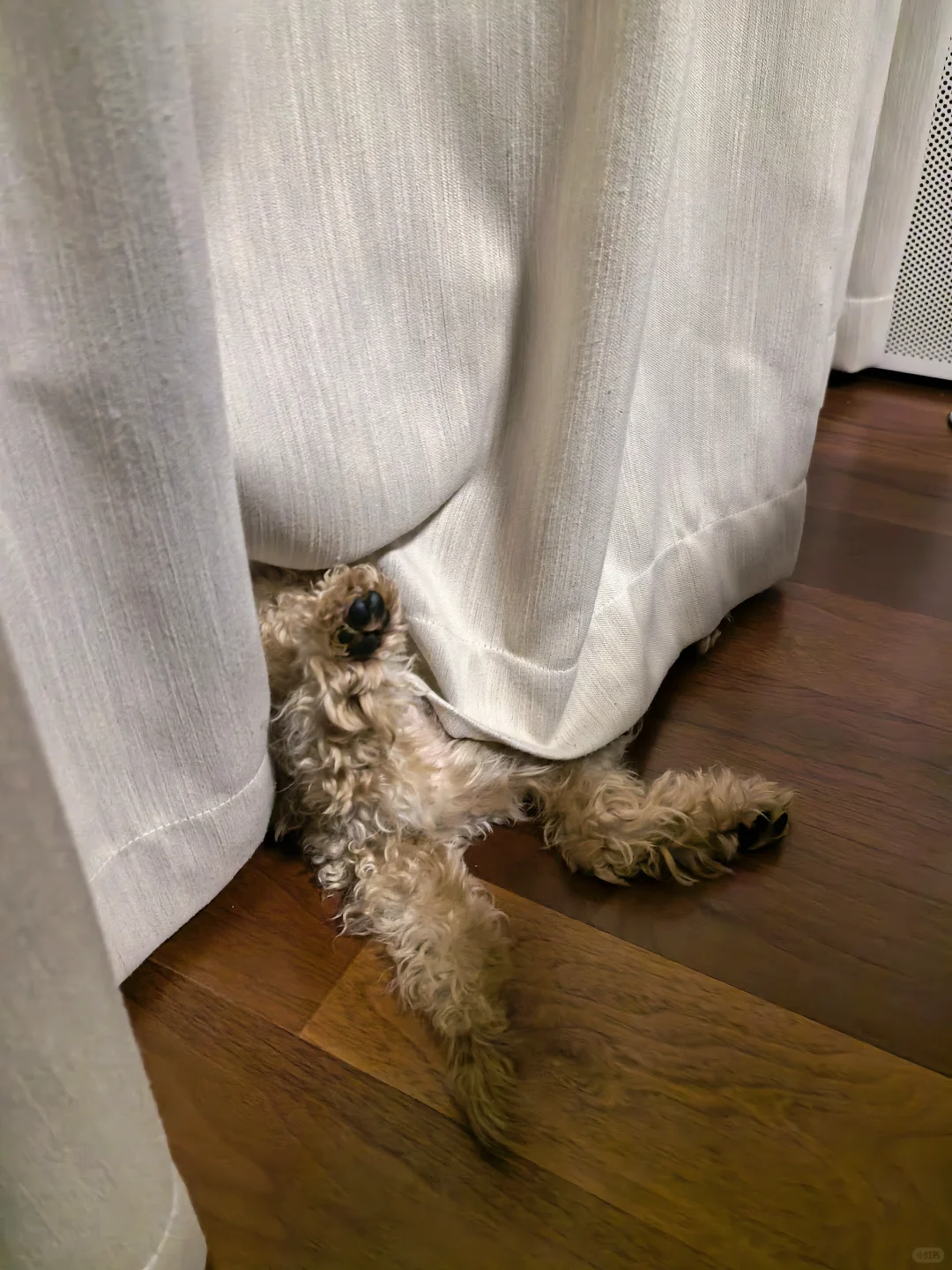 今日份晚安