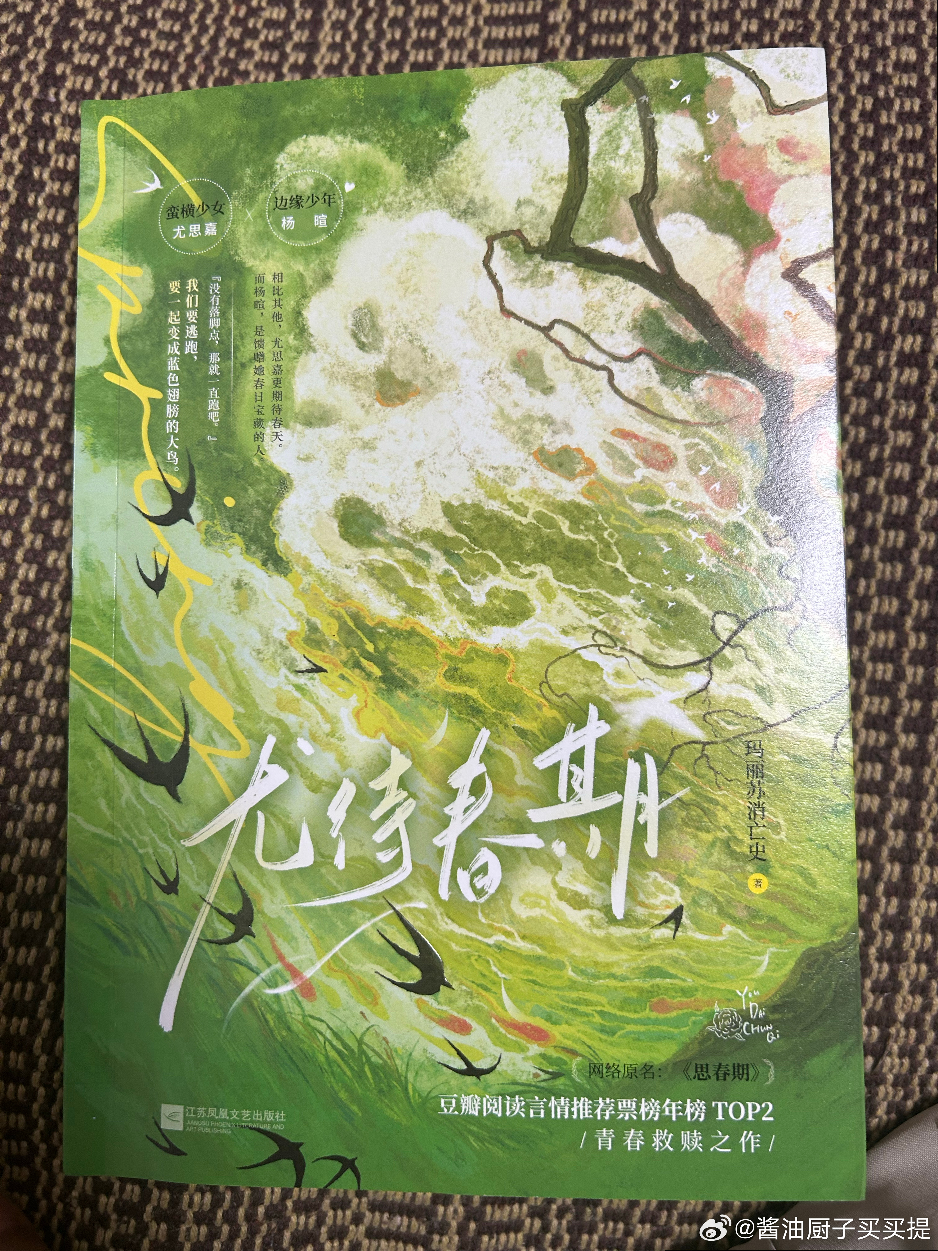 玛丽苏消亡史[超话]  收到啦 好喜欢 而且是我最喜欢那句“没有落脚点，那就一直