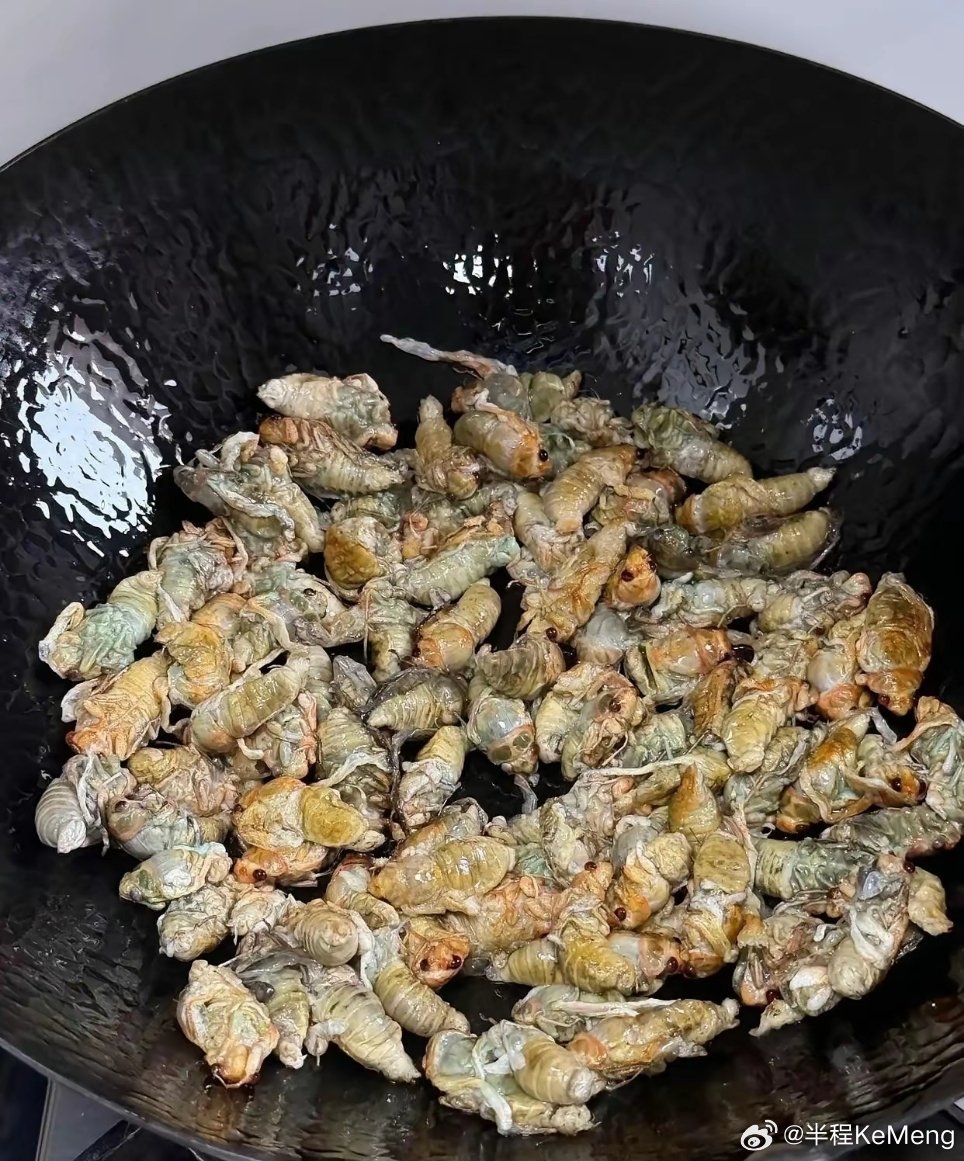 一个敢煮，一个敢吃，佩服！ 