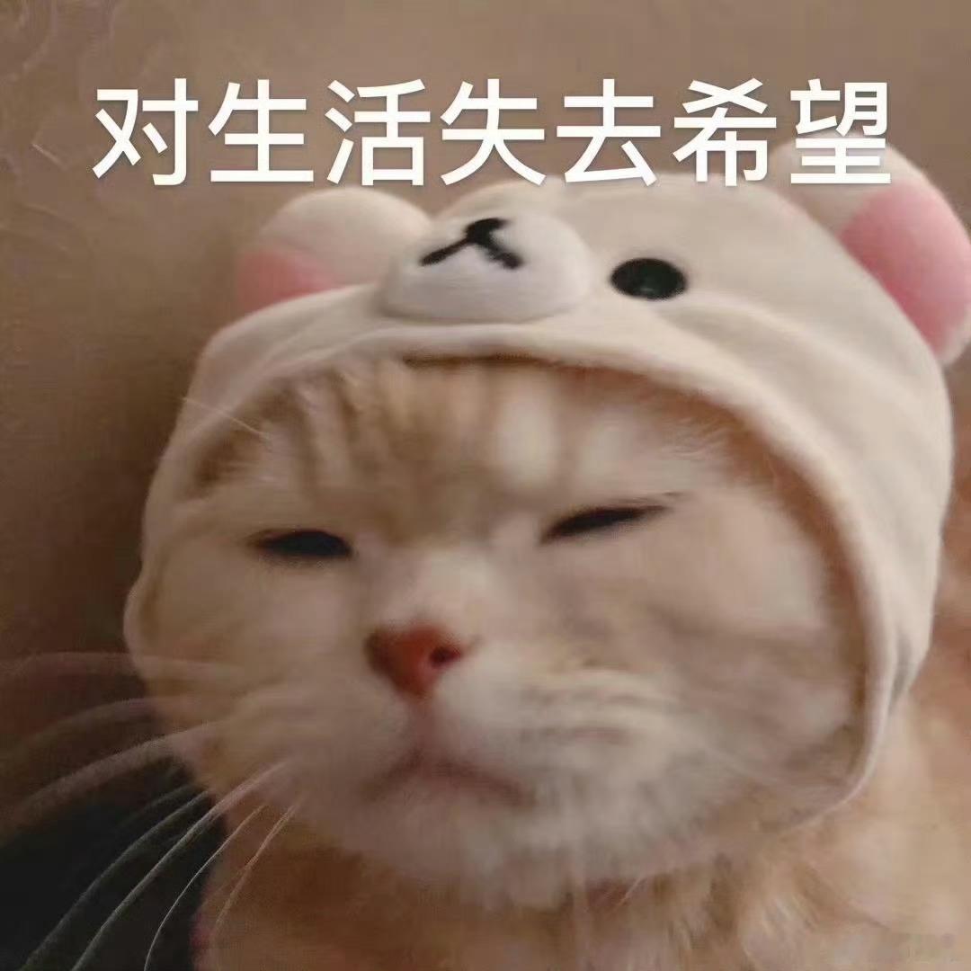 周末休整 下礼拜推了重开吧 我要疯了备班 