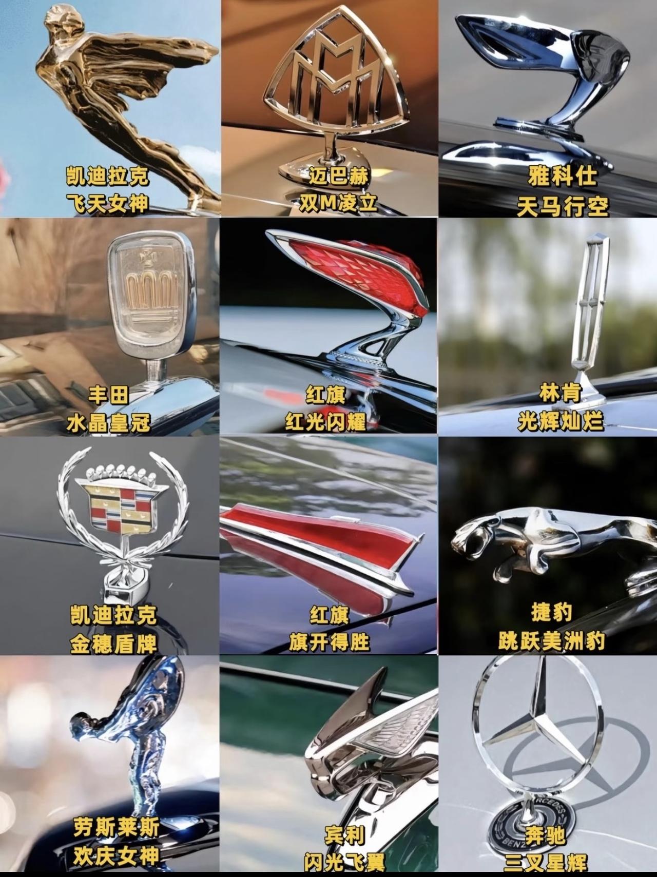 来，一起欣赏一下这些立标～【来自懂车帝车友圈】