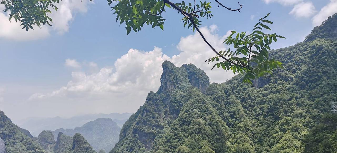 曹丕视察完长江，不战而还

曹魏文帝黄初五年（公元224年），曹丕率军亲征东吴。