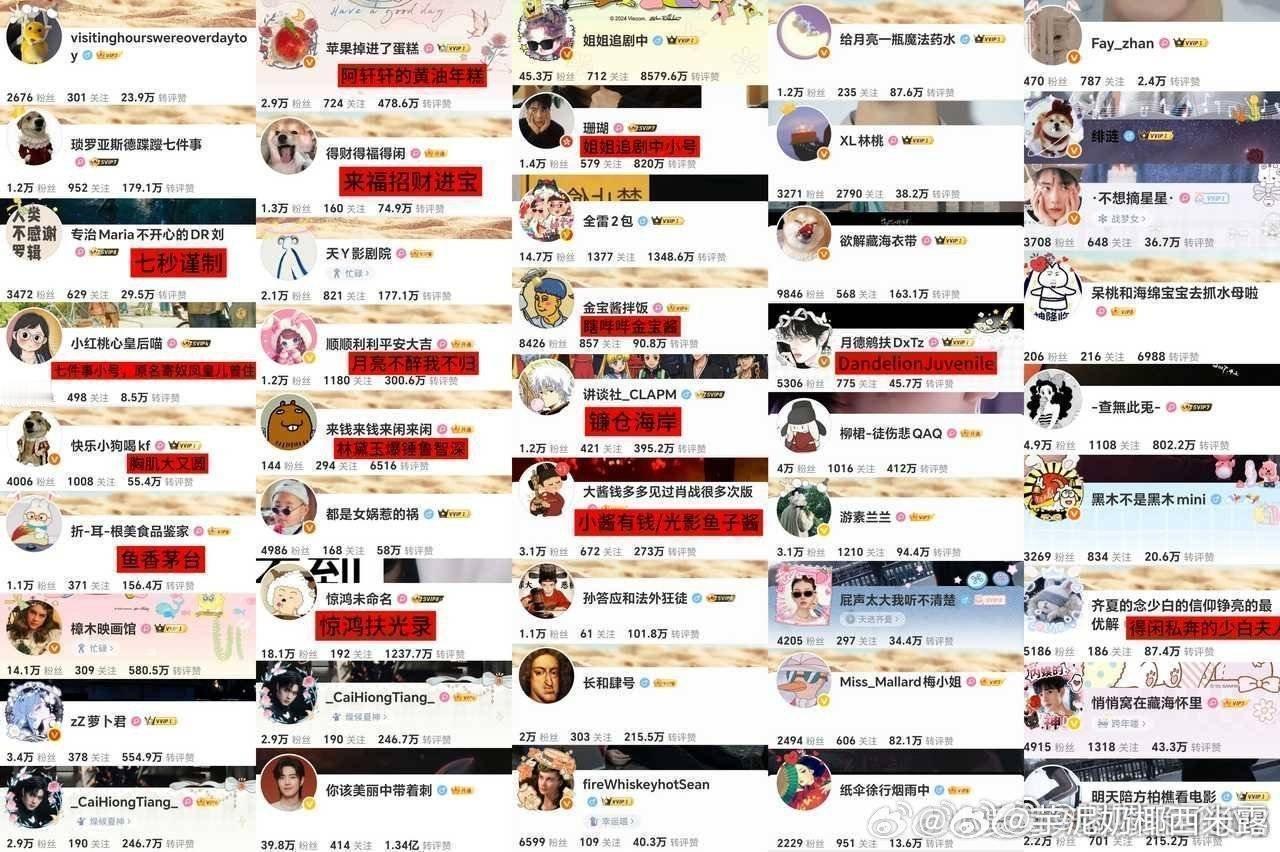 全“明星”阵容