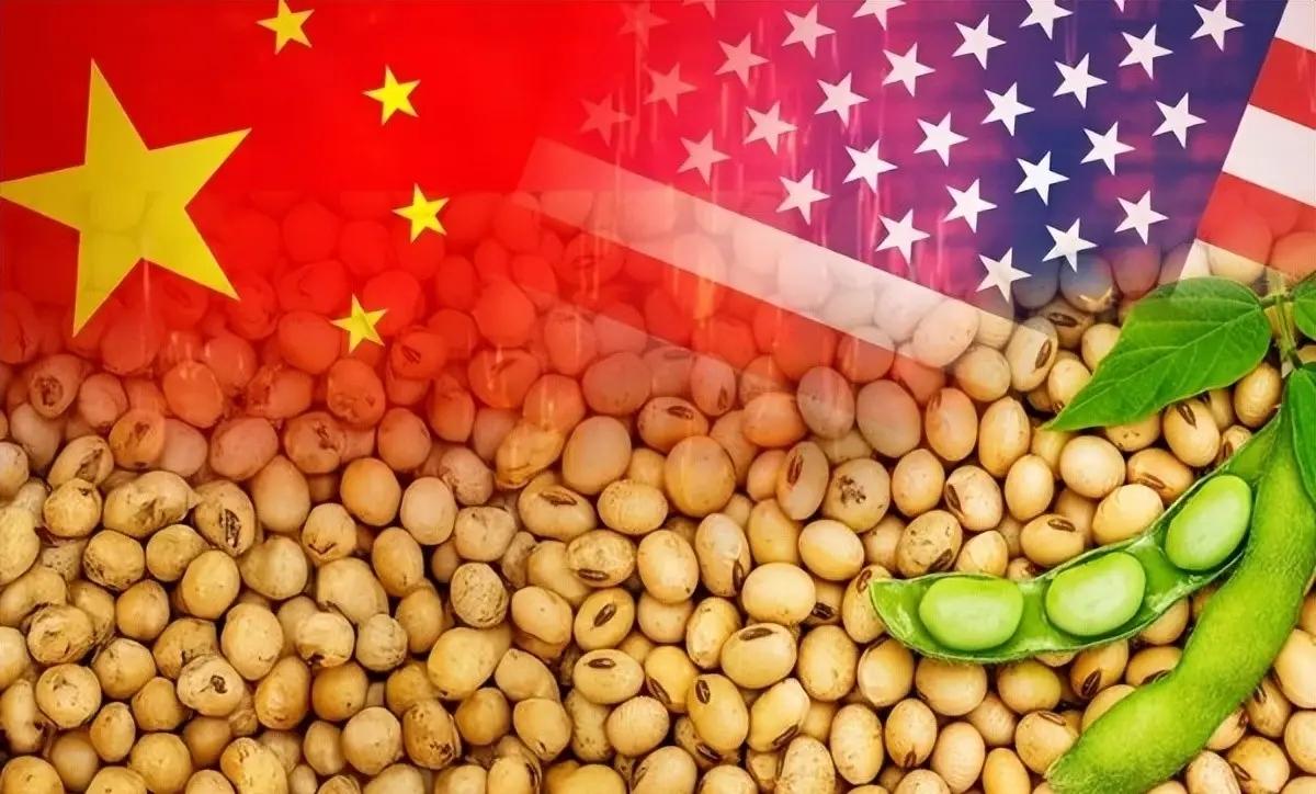 中美显示谈妥迹象，中方或将采购至少14船美国大豆，能否换来美方的“诚意” ？
